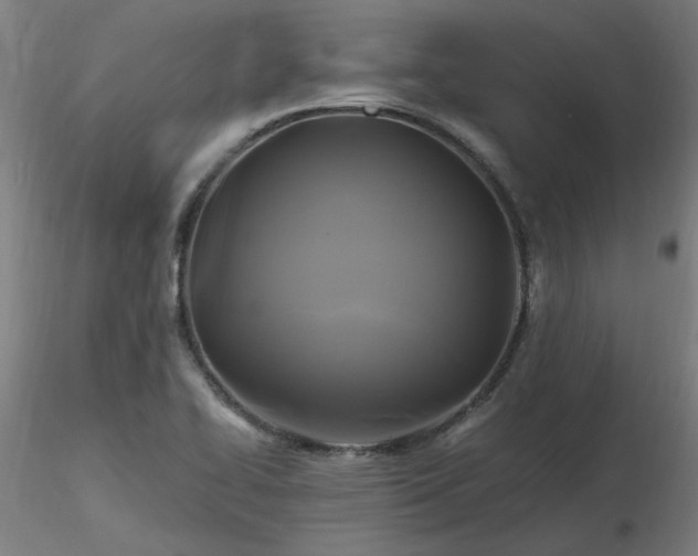 X0000116801414200912181307