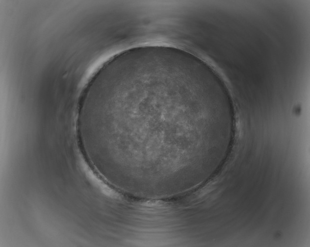 X0000116801416200912181307