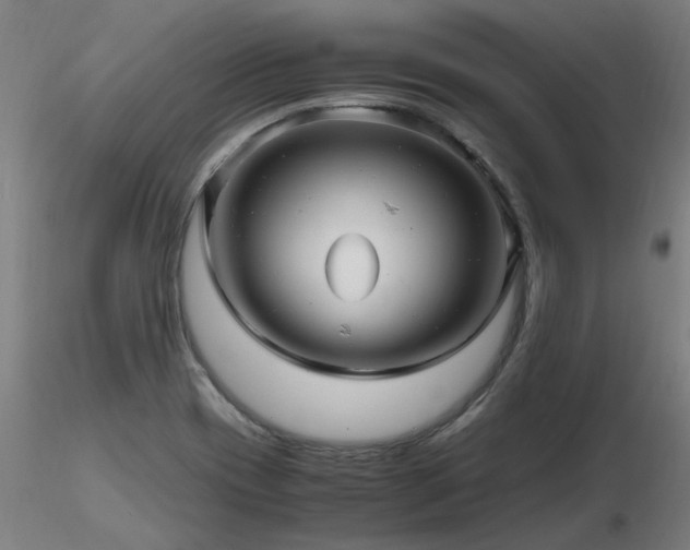 X0000116801417200912181307