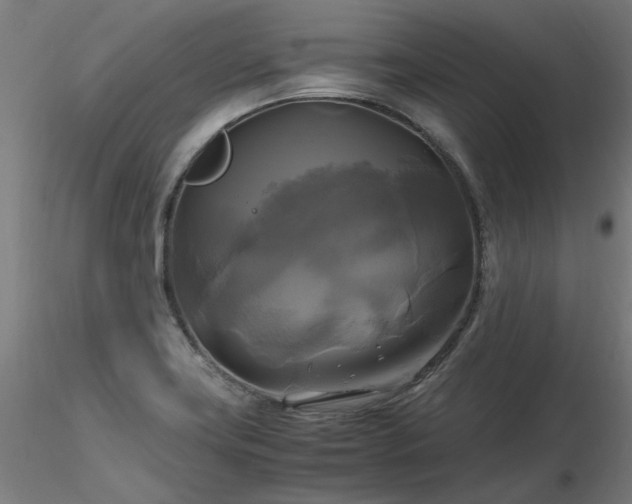 X0000116801419200912181307