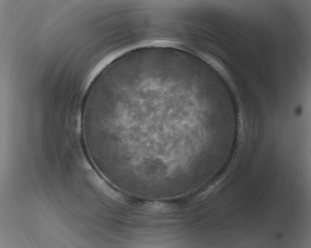 X0000116801420200912181307