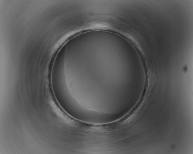 X0000116801422200912181307