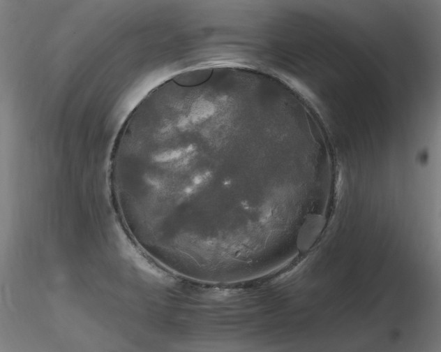 X0000116801423200912181307