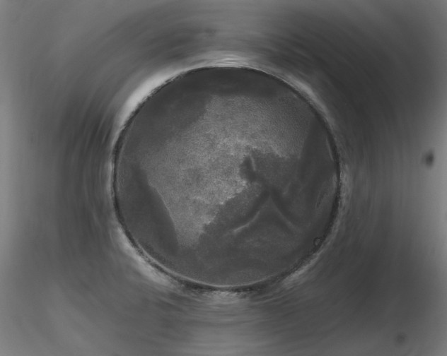 X0000116801424200912181307