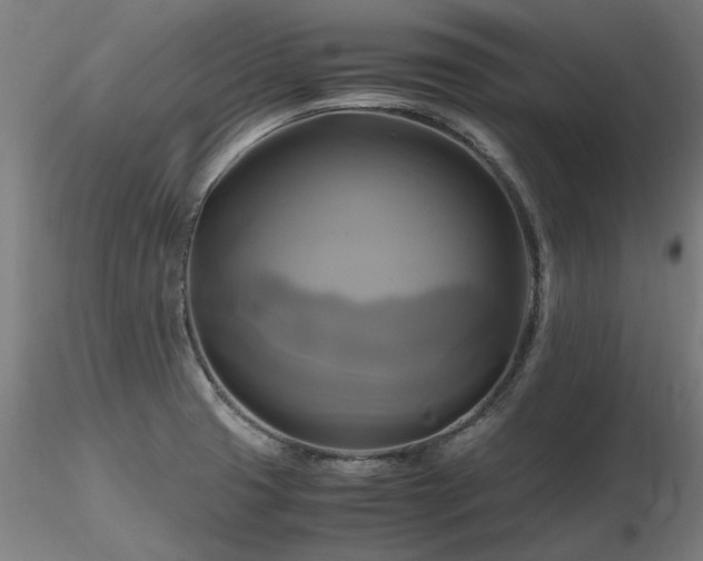 X0000116801425200912181307