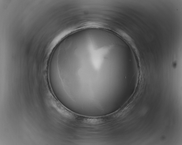 X0000116801427200912181307