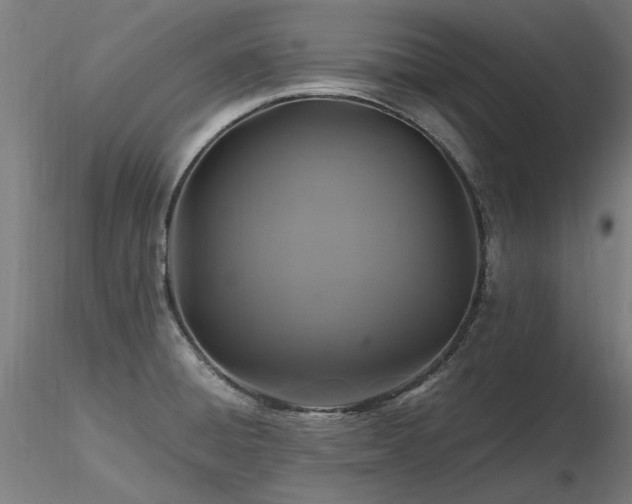 X0000116801428200912181307