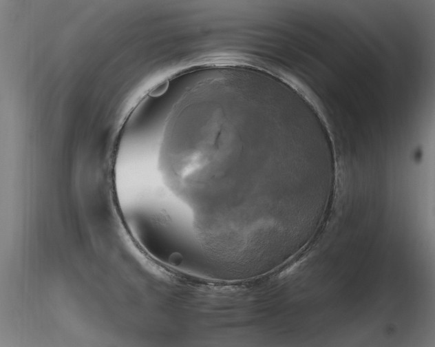 X0000116801429200912181307