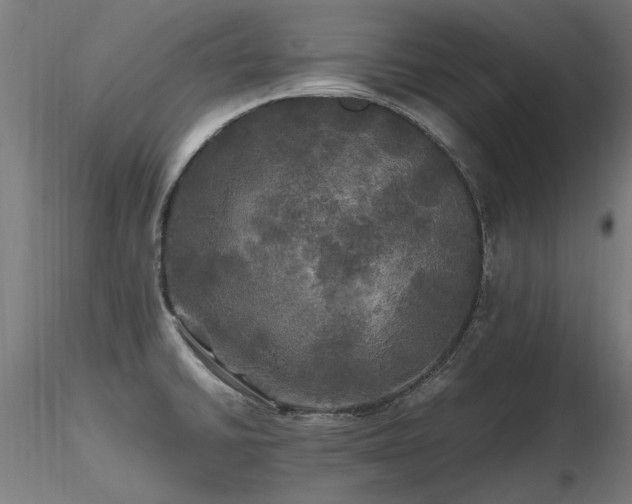 X0000116801430200912181307