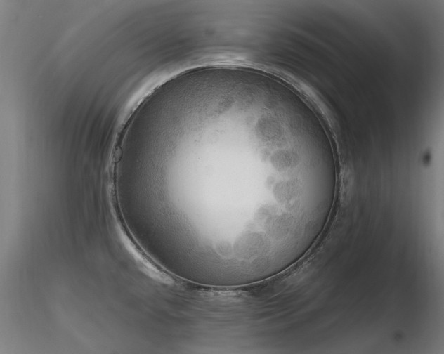 X0000116801432200912181307