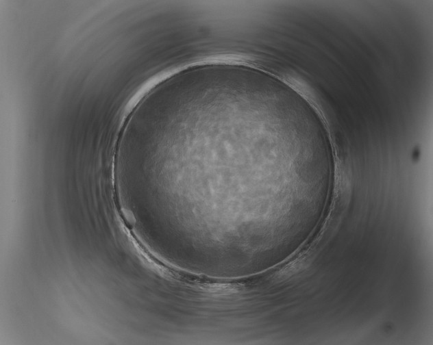 X0000116801436200912181308