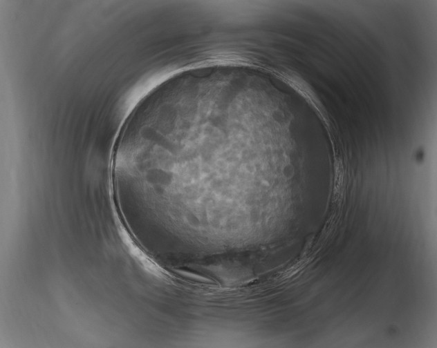 X0000116801439200912181308
