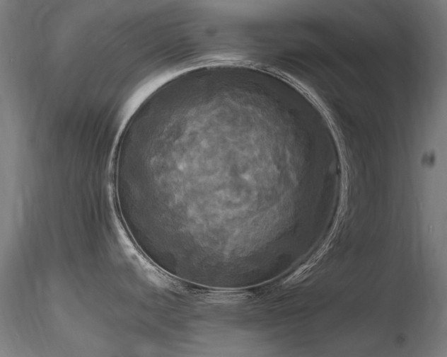 X0000116801440200912181308