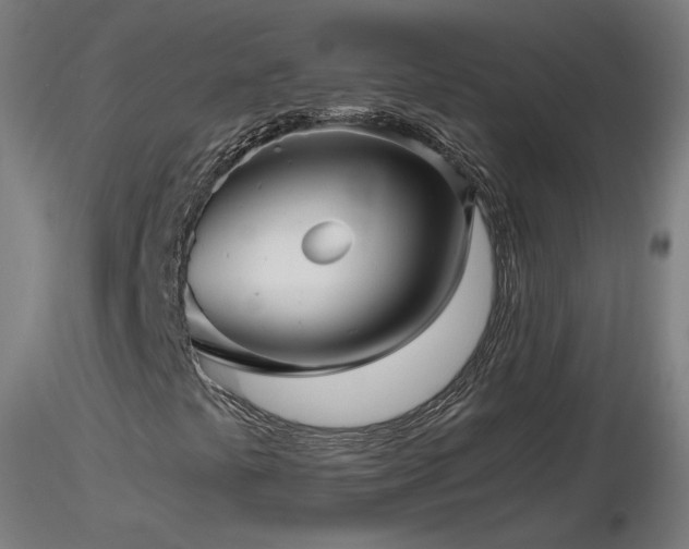 X0000116801441200912181307