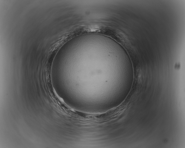 X0000116801442200912181307