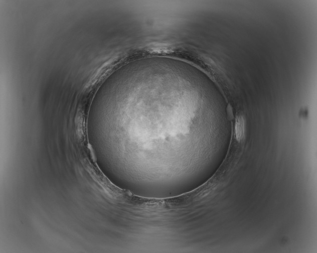 X0000116801444200912181307