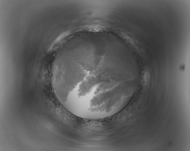 X0000116801446200912181307