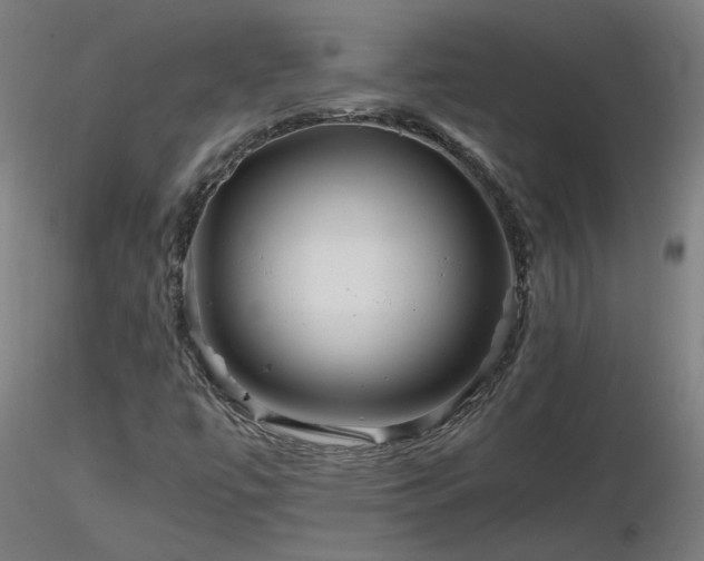 X0000116801447200912181307