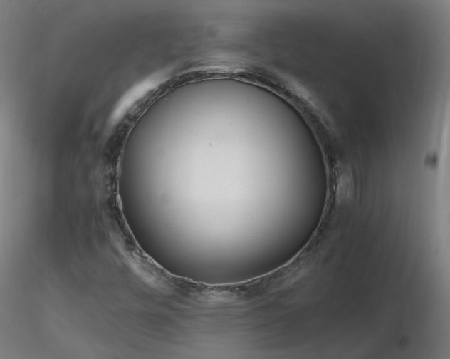 X0000116801448200912181307