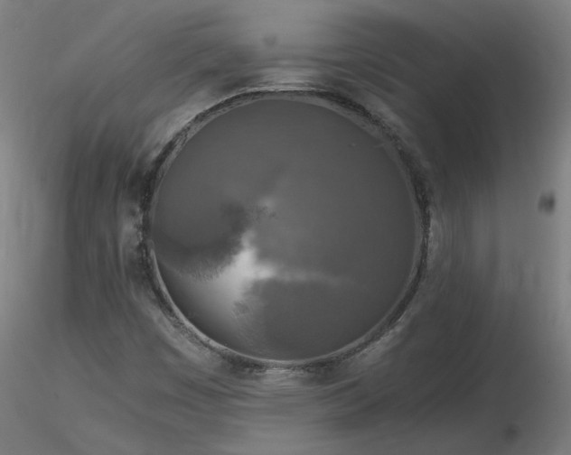 X0000116801449200912181307