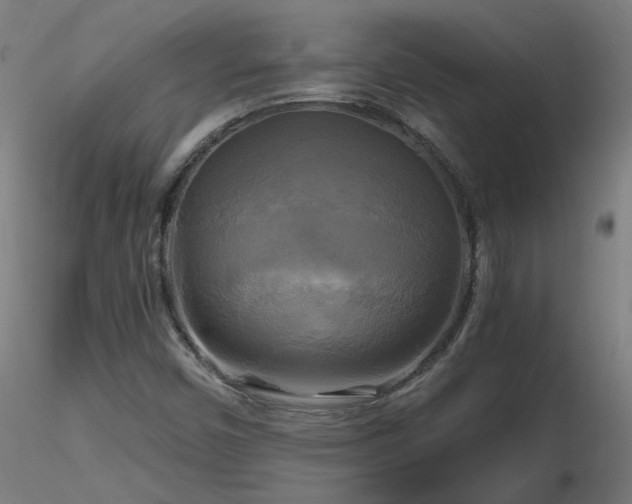 X0000116801450200912181307