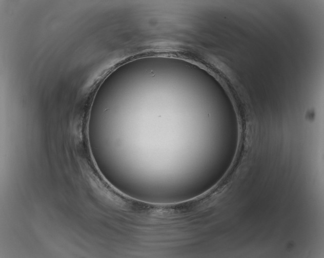 X0000116801451200912181307