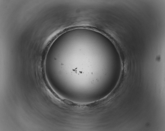X0000116801452200912181307