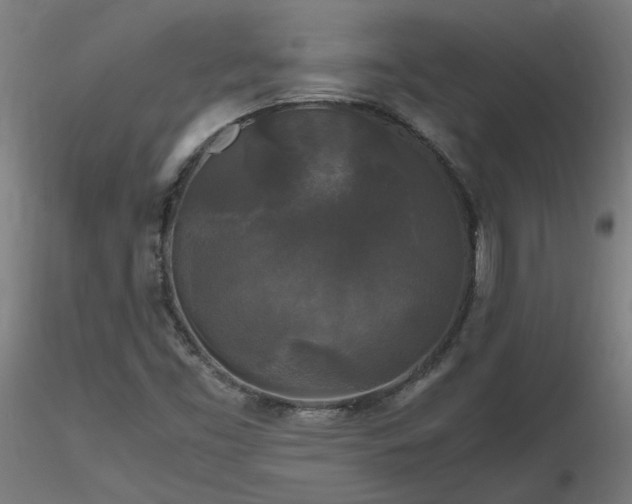 X0000116801453200912181307