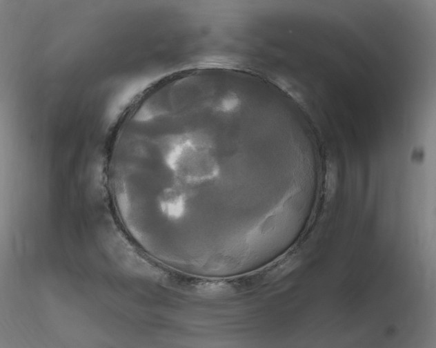 X0000116801454200912181307