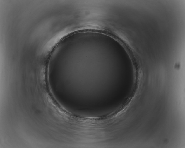 X0000116801455200912181307