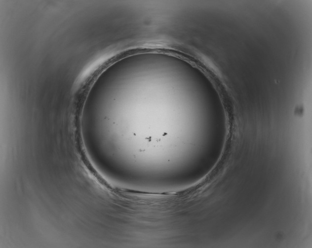 X0000116801456200912181307
