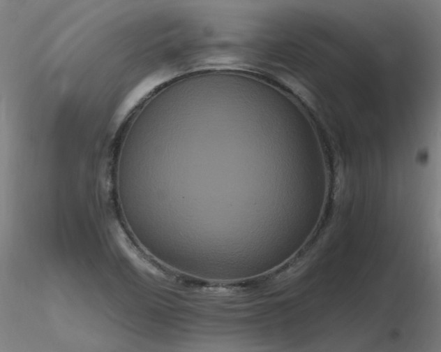 X0000116801458200912181306