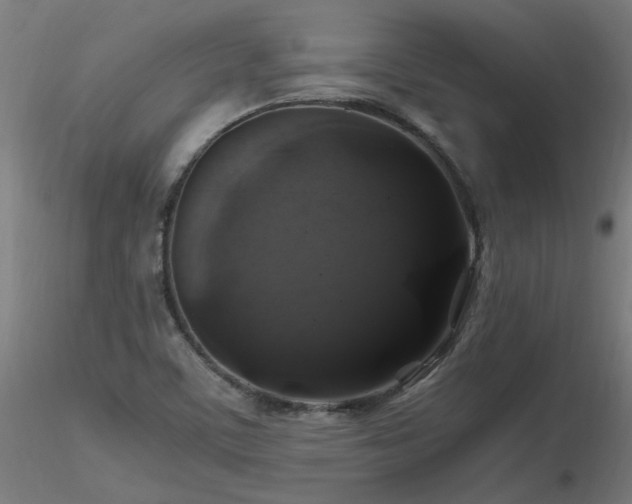 X0000116801459200912181306