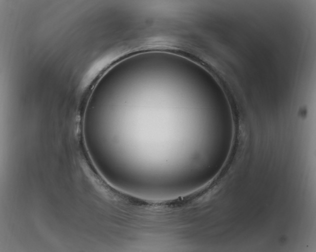 X0000116801461200912181306