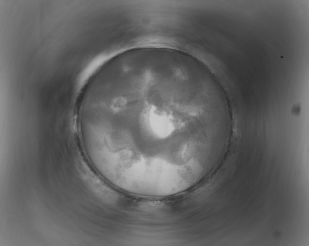 X0000116801462200912181306