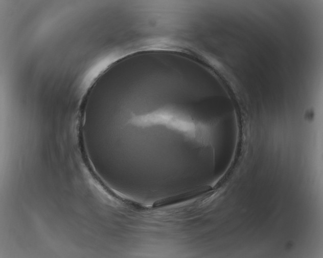 X0000116801463200912181306