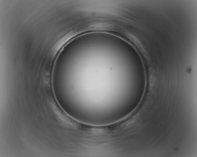 X0000116801465200912181306