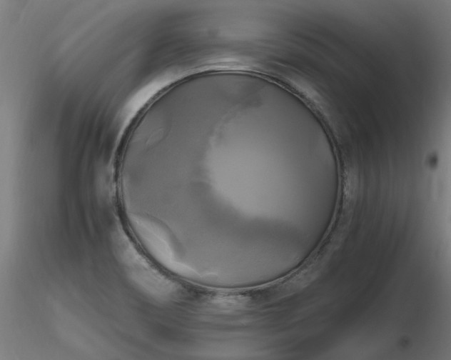 X0000116801466200912181306