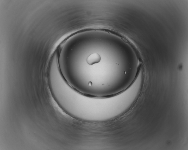 X0000116801468200912181306