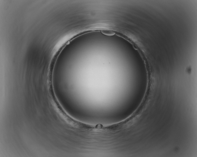 X0000116801469200912181306