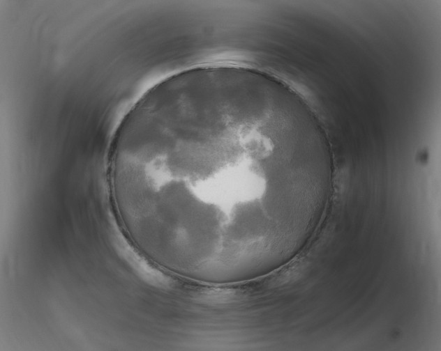 X0000116801470200912181306