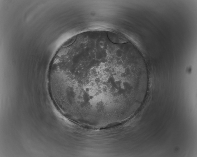X0000116801471200912181306