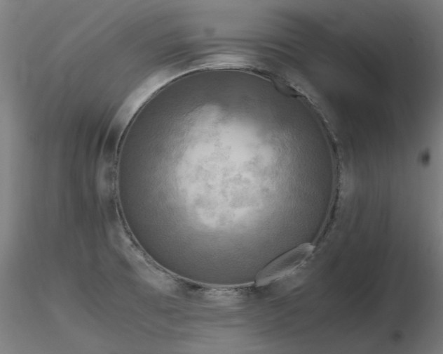 X0000116801473200912181306