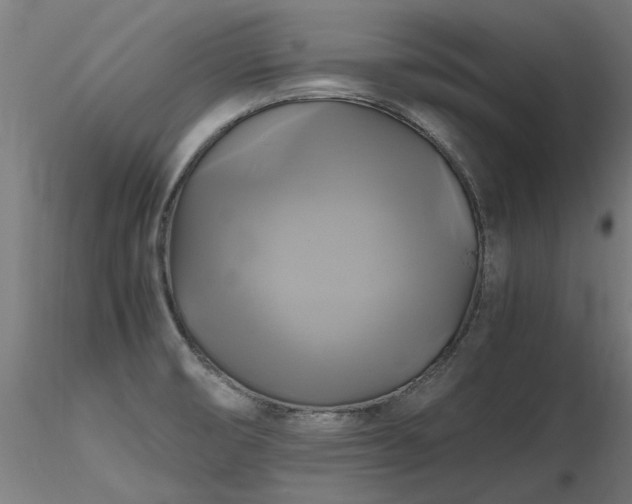 X0000116801474200912181306