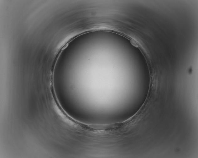 X0000116801476200912181306