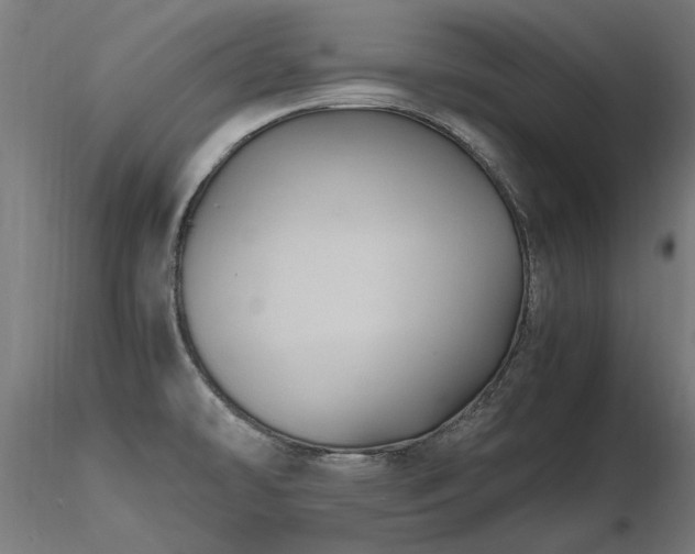 X0000116801478200912181306