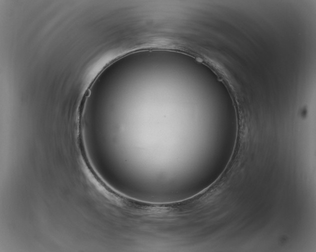 X0000116801479200912181306