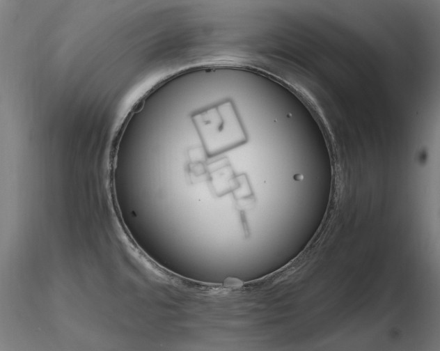 X0000116801480200912181306