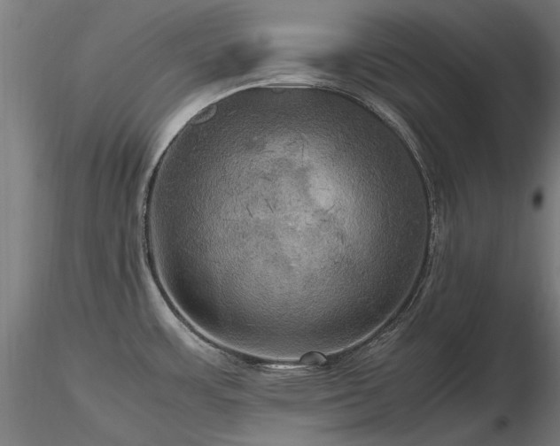 X0000116801483200912181306