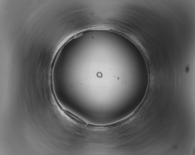 X0000116801484200912181306
